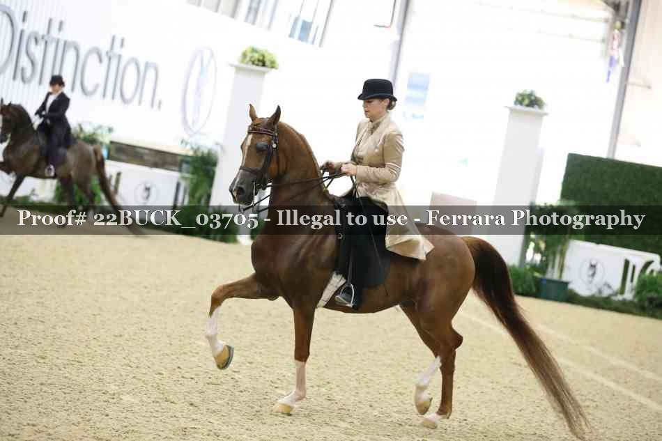 Proof 22BUCK_03705