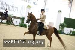 22BUCK_03705 proof
