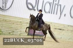 22BUCK_03706 proof