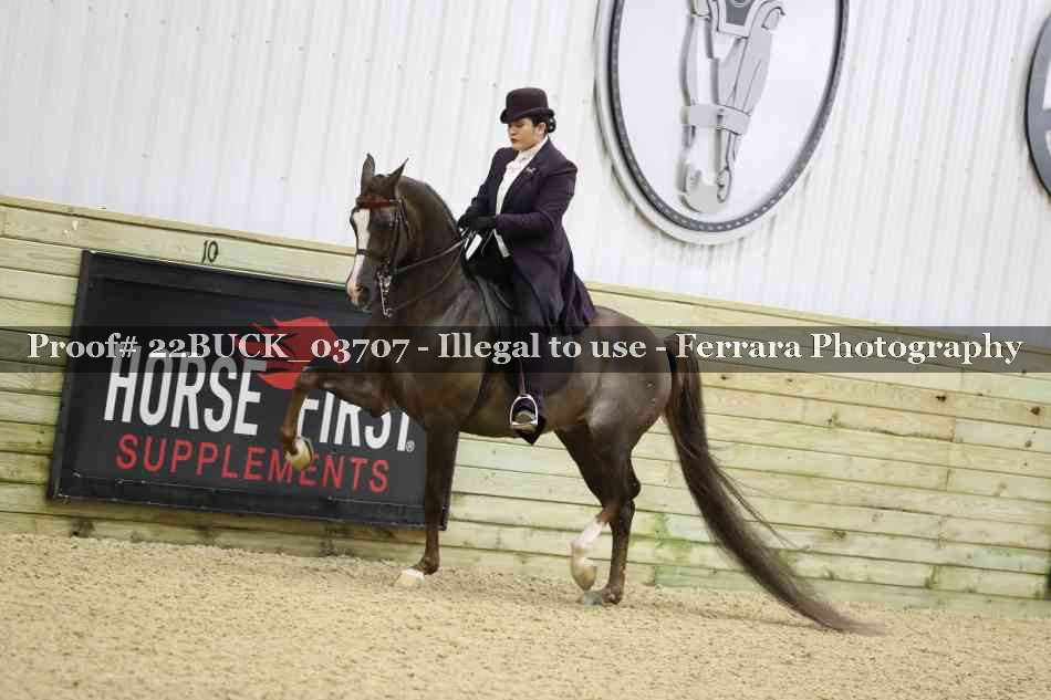 Proof 22BUCK_03707
