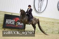 22BUCK_03707 proof