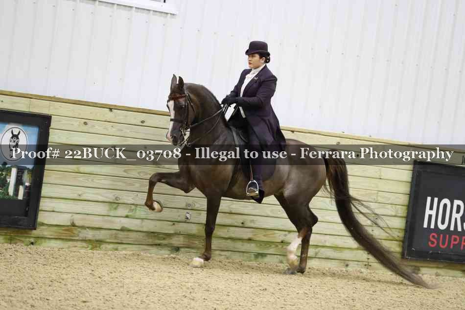 Proof 22BUCK_03708