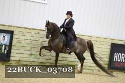 22BUCK_03708 proof