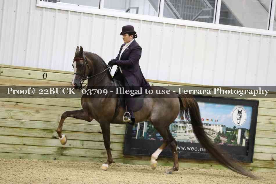 Proof 22BUCK_03709