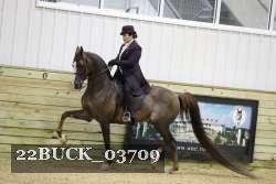 22BUCK_03709 proof