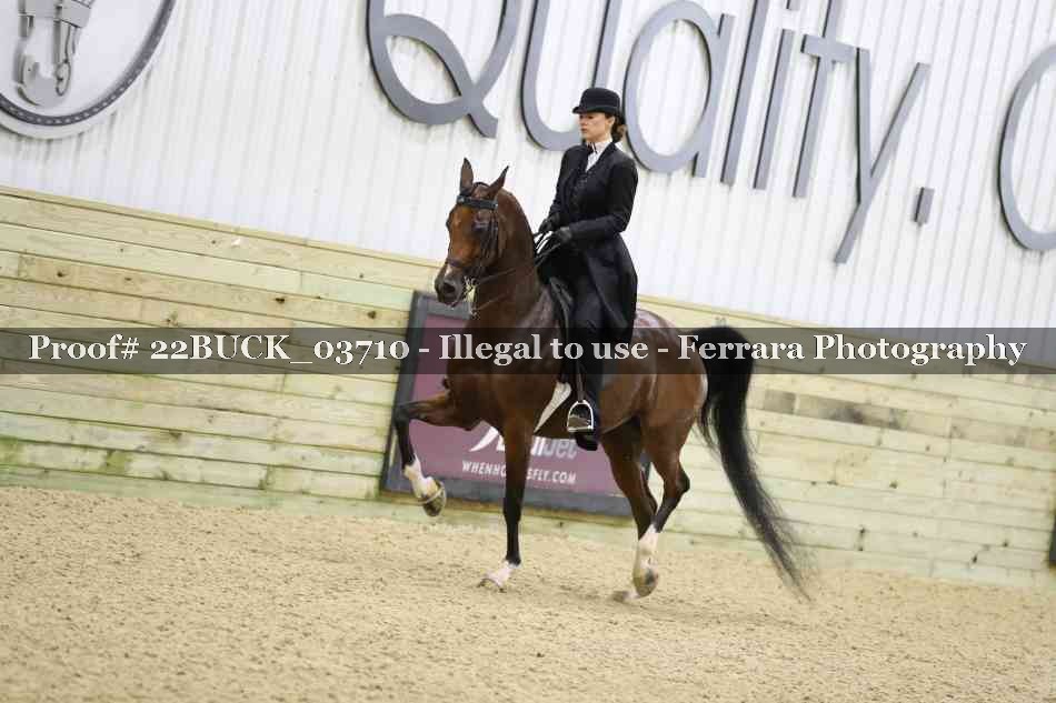 Proof 22BUCK_03710