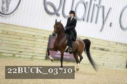 22BUCK_03710 proof