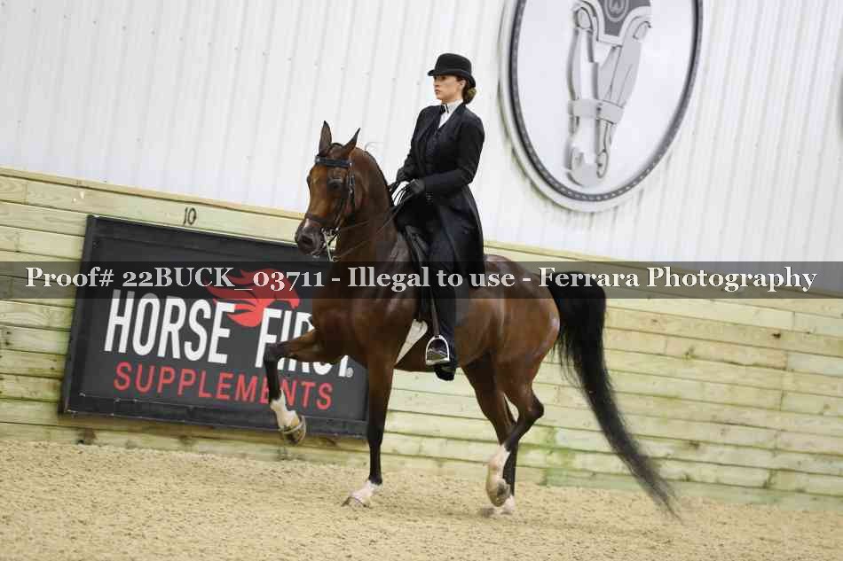 Proof 22BUCK_03711