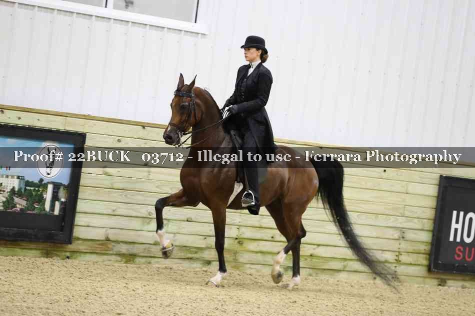 Proof 22BUCK_03712