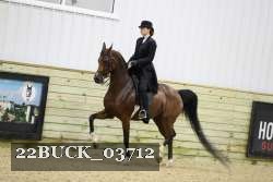22BUCK_03712 proof