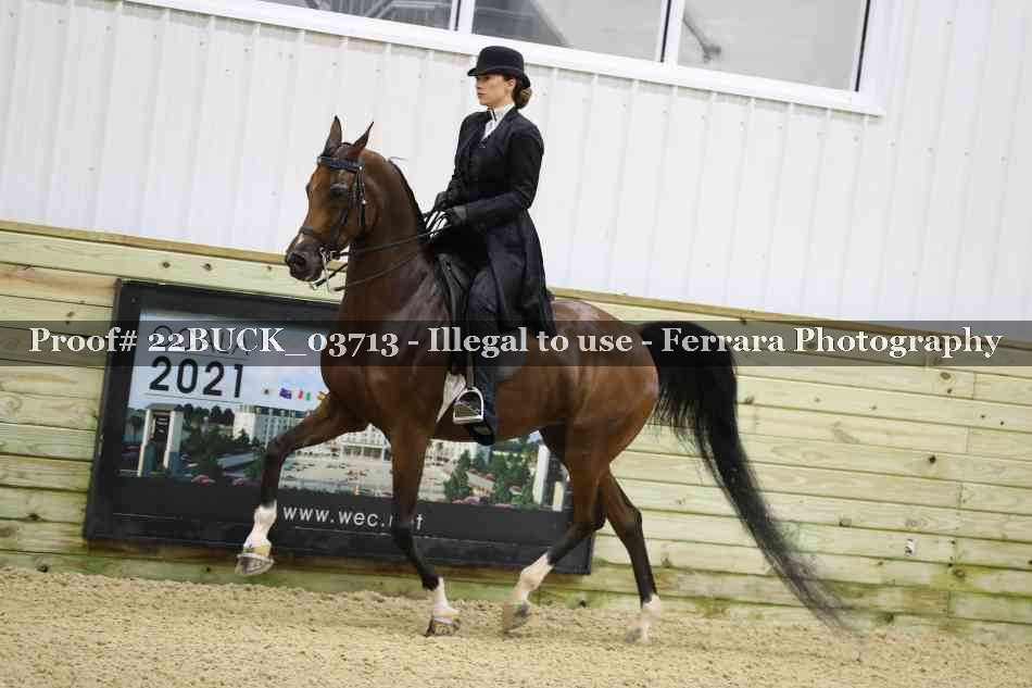 Proof 22BUCK_03713