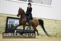 22BUCK_03713 proof