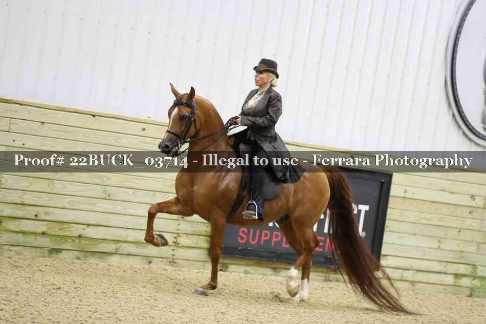 Proof 22BUCK_03714