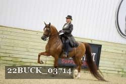 22BUCK_03714 proof
