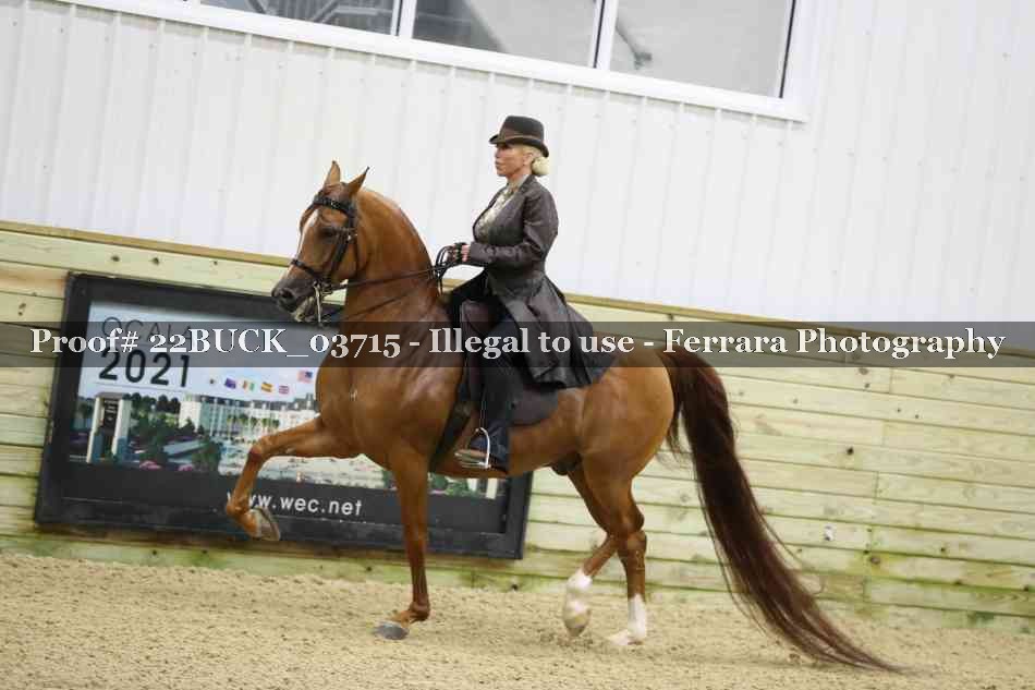 Proof 22BUCK_03715