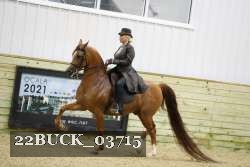 22BUCK_03715 proof