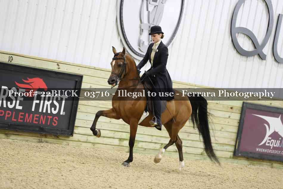 Proof 22BUCK_03716