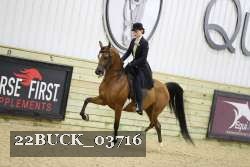 22BUCK_03716 proof