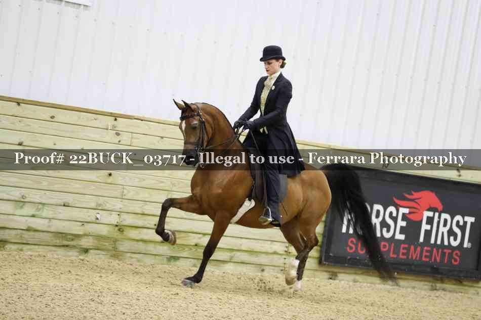 Proof 22BUCK_03717