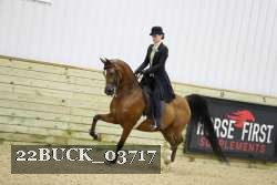 22BUCK_03717 proof