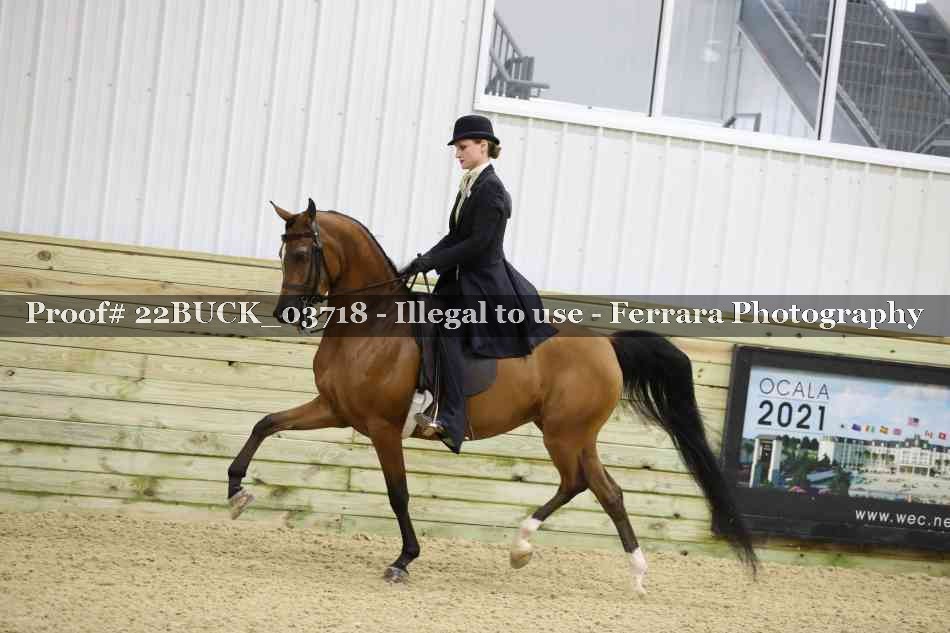 Proof 22BUCK_03718
