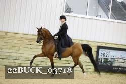 22BUCK_03718 proof