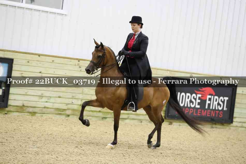 Proof 22BUCK_03719