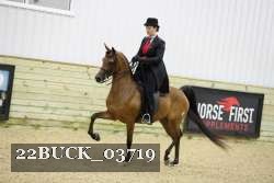 22BUCK_03719 proof