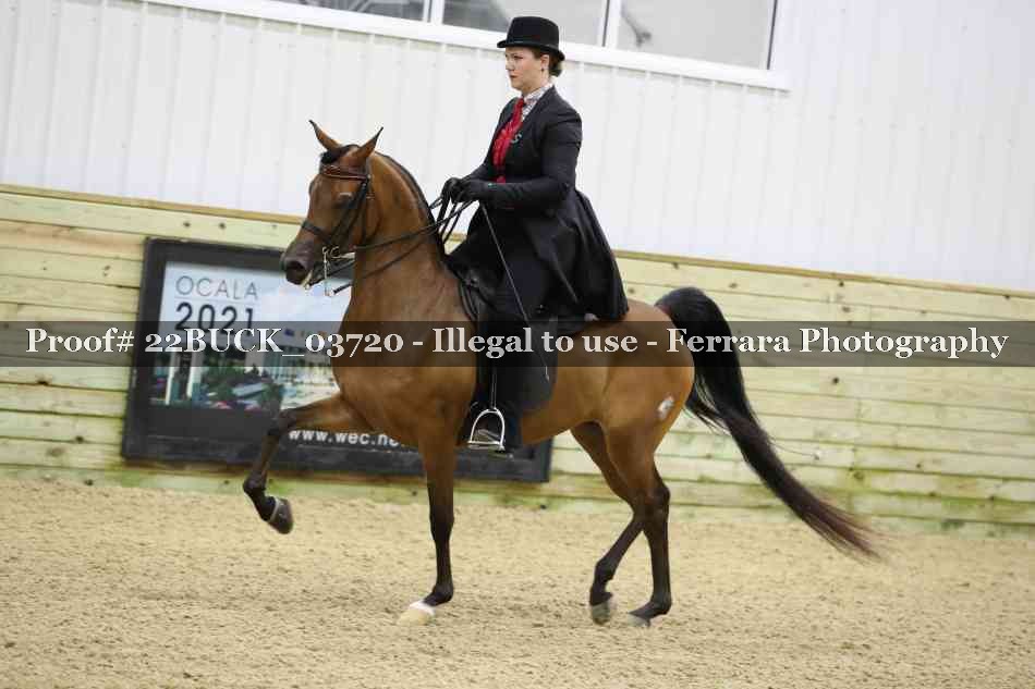Proof 22BUCK_03720