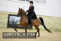 22BUCK_03720 proof