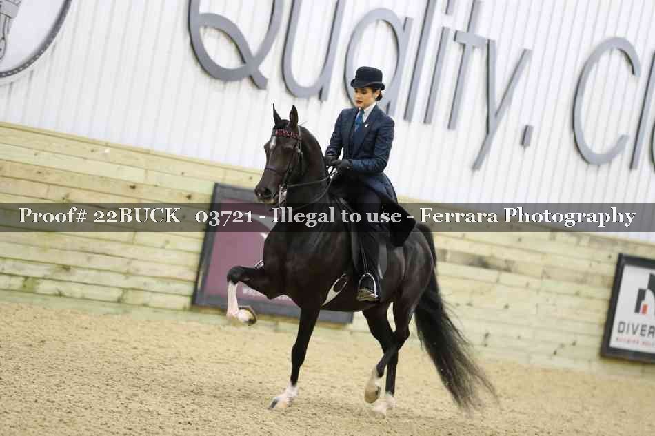 Proof 22BUCK_03721
