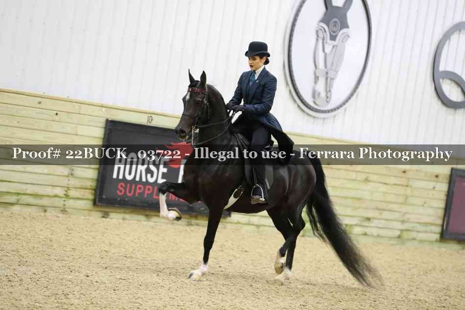 Proof 22BUCK_03722