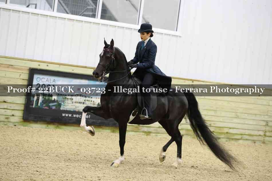 Proof 22BUCK_03723