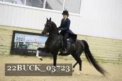 22BUCK_03723 proof