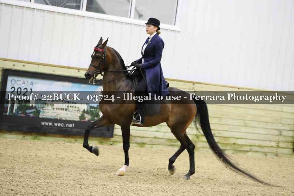 Proof 22BUCK_03724