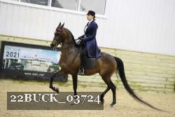22BUCK_03724 proof
