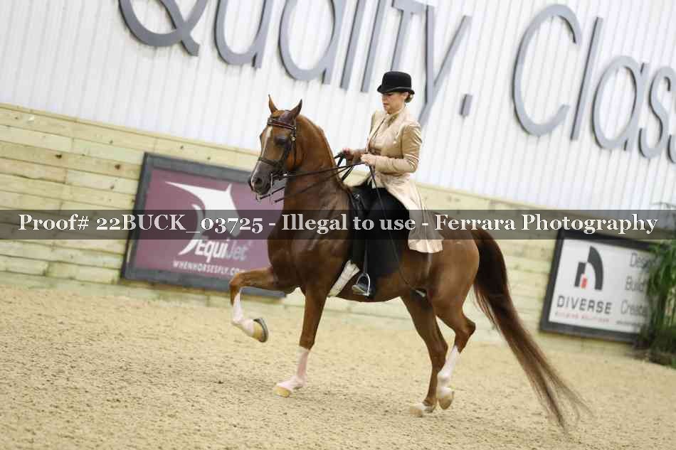 Proof 22BUCK_03725