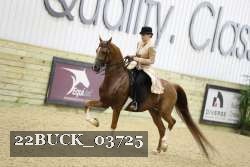 22BUCK_03725 proof