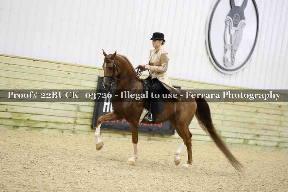 Proof 22BUCK_03726