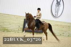 22BUCK_03726 proof