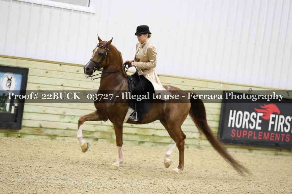Proof 22BUCK_03727