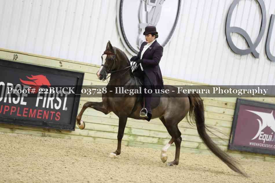 Proof 22BUCK_03728