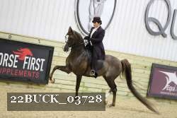 22BUCK_03728 proof