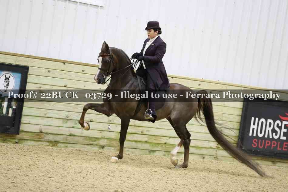 Proof 22BUCK_03729