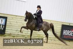 22BUCK_03729 proof