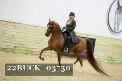 22BUCK_03730 proof