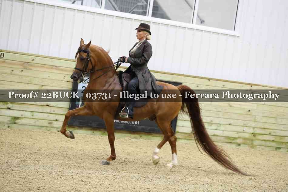 Proof 22BUCK_03731