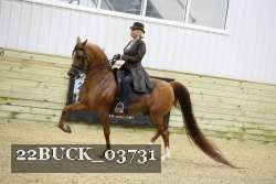 22BUCK_03731 proof