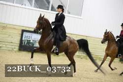 22BUCK_03732 proof