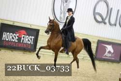 22BUCK_03733 proof